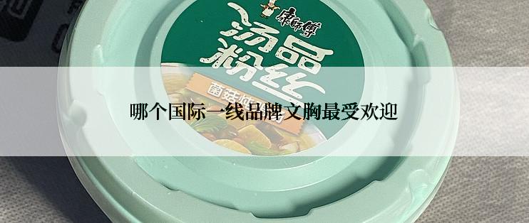 哪个国际一线品牌文胸最受欢迎
