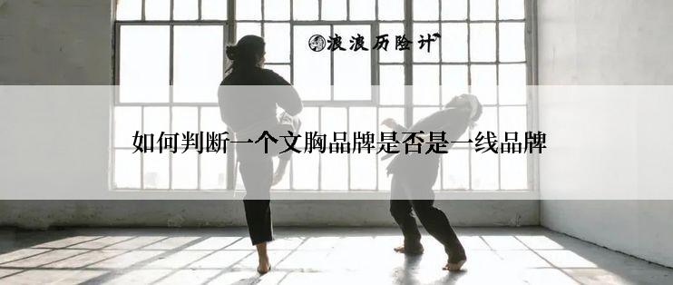  如何判断一个文胸品牌是否是一线品牌