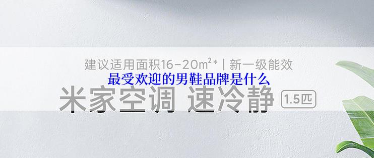  最受欢迎的男鞋品牌是什么