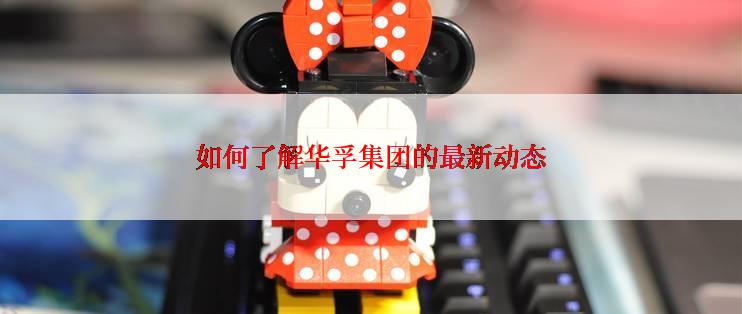 如何了解华孚集团的最新动态