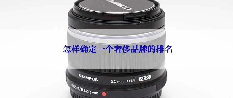 怎样确定一个奢侈品牌的排名