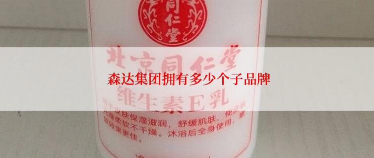  森达集团拥有多少个子品牌