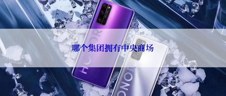 哪个集团拥有中央商场