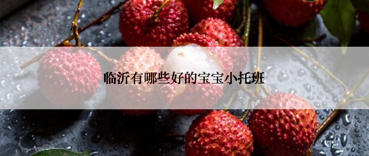 临沂有哪些好的宝宝小托班