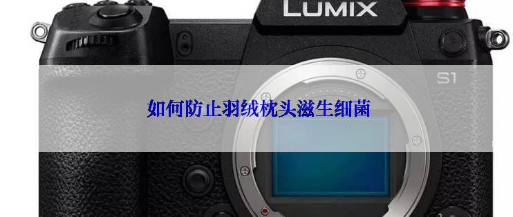  如何防止羽绒枕头滋生细菌
