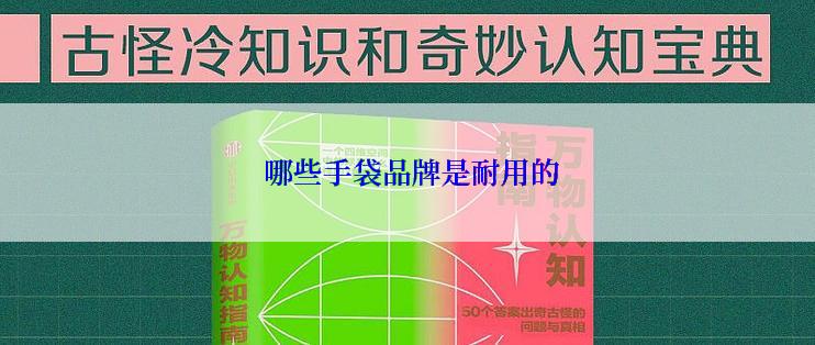  哪些手袋品牌是耐用的
