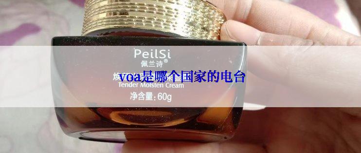  voa是哪个国家的电台