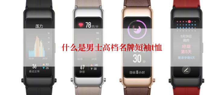 什么是男士高档名牌短袖t恤