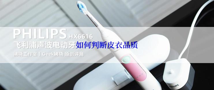 如何判断皮衣品质