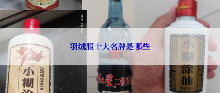 羽绒服十大名牌是哪些
