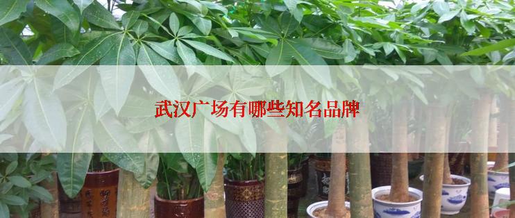 武汉广场有哪些知名品牌