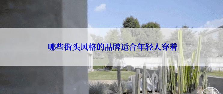  哪些街头风格的品牌适合年轻人穿着