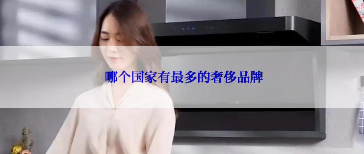  哪个国家有最多的奢侈品牌