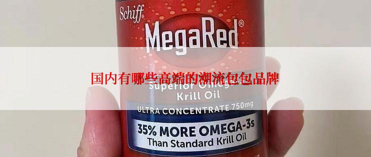 国内有哪些高端的潮流包包品牌