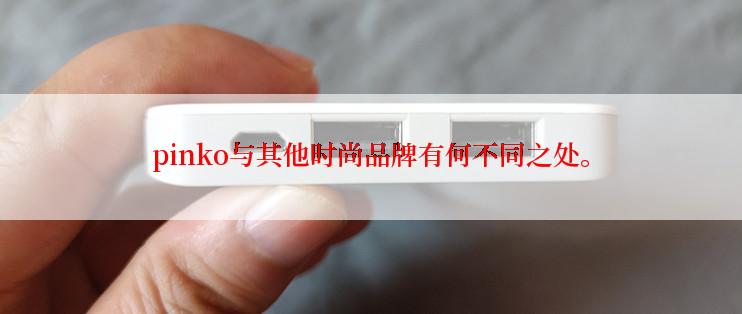 pinko与其他时尚品牌有何不同之处。