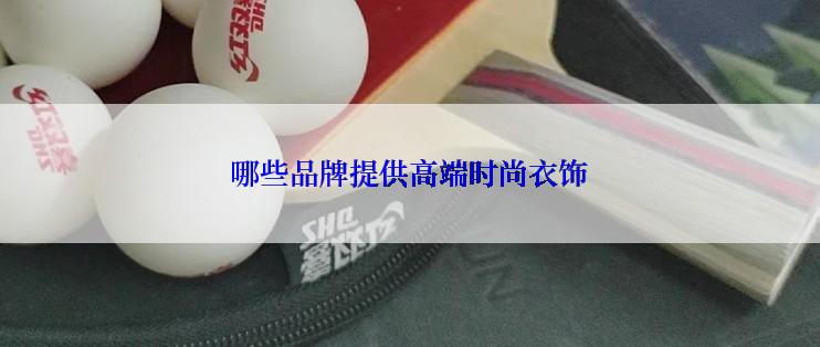 哪些品牌提供高端时尚衣饰