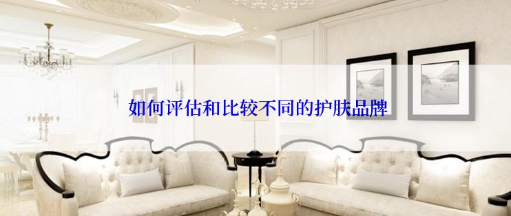  如何评估和比较不同的护肤品牌