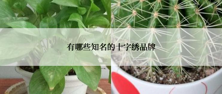 有哪些知名的十字绣品牌