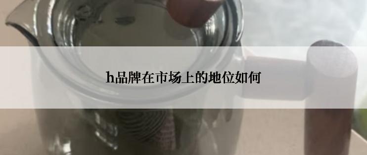 h品牌在市场上的地位如何