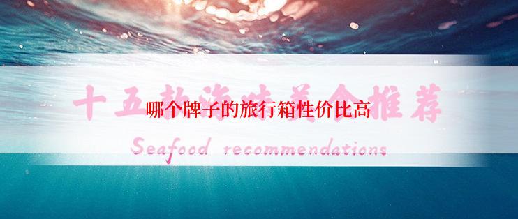 哪个牌子的旅行箱性价比高