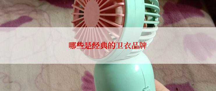 哪些是经典的卫衣品牌