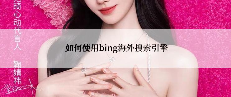  如何使用bing海外搜索引擎