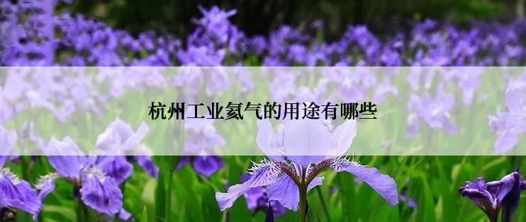 杭州工业氦气的用途有哪些