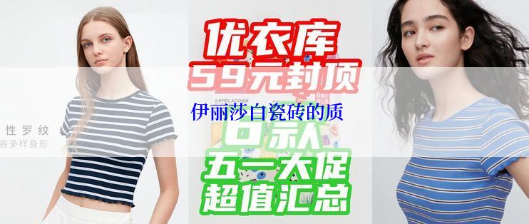  伊丽莎白瓷砖的质