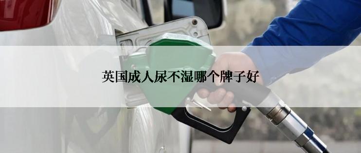 英国成人尿不湿哪个牌子好