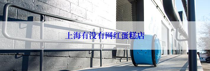 上海有没有网红蛋糕店