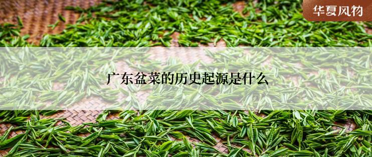  广东盆菜的历史起源是什么