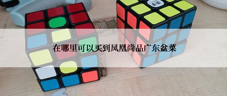  在哪里可以买到凤凰尚品广东盆菜