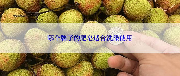 哪个牌子的肥皂适合洗澡使用