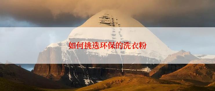 如何挑选环保的洗衣粉