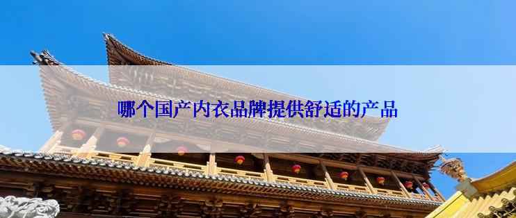哪个国产内衣品牌提供舒适的产品