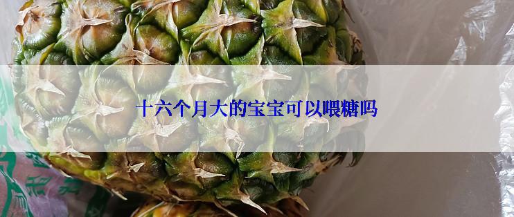 十六个月大的宝宝可以喂糖吗