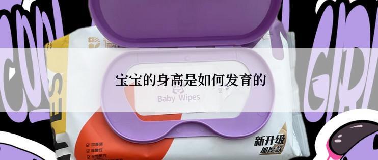  宝宝的身高是如何发育的