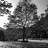 fattree